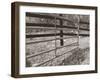 Sepia Farm Study I-Alicia Ludwig-Framed Photographic Print