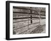 Sepia Farm Study I-Alicia Ludwig-Framed Photographic Print