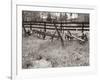 Sepia Farm Study IV-Alicia Ludwig-Framed Photographic Print