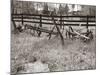 Sepia Farm Study IV-Alicia Ludwig-Mounted Photographic Print