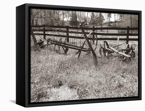 Sepia Farm Study IV-Alicia Ludwig-Framed Stretched Canvas