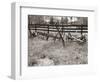 Sepia Farm Study IV-Alicia Ludwig-Framed Photographic Print