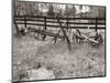 Sepia Farm Study IV-Alicia Ludwig-Mounted Photographic Print