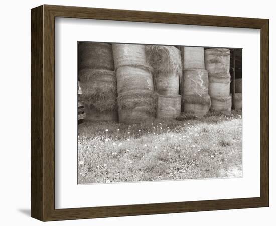 Sepia Farm Study V-Alicia Ludwig-Framed Photographic Print