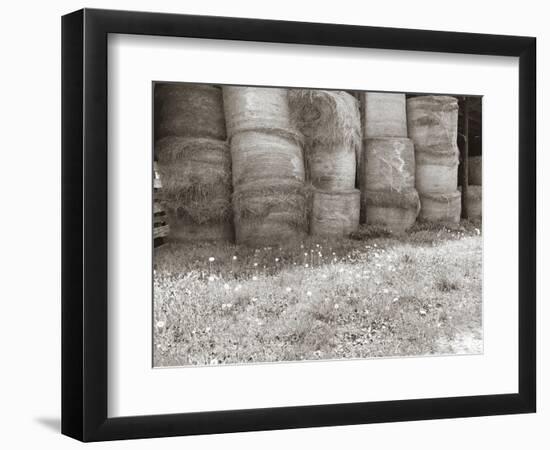 Sepia Farm Study V-Alicia Ludwig-Framed Photographic Print