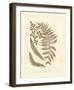 Sepia Ferns III-null-Framed Giclee Print