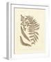 Sepia Ferns III-null-Framed Giclee Print