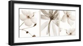 Sepia Floral-null-Framed Art Print