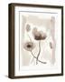 Sepia Florals II-Pamela Munger-Framed Art Print