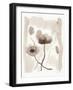 Sepia Florals II-Pamela Munger-Framed Art Print
