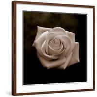 Sepia Flower on Brown-Tom Quartermaine-Framed Giclee Print