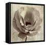 Sepia Flower on Sepia 02-Tom Quartermaine-Framed Stretched Canvas