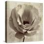 Sepia Flower on Sepia 02-Tom Quartermaine-Stretched Canvas