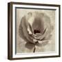 Sepia Flower on Sepia 02-Tom Quartermaine-Framed Giclee Print