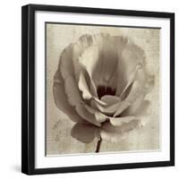 Sepia Flower on Sepia 02-Tom Quartermaine-Framed Giclee Print