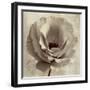 Sepia Flower on Sepia 02-Tom Quartermaine-Framed Giclee Print