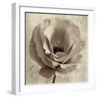 Sepia Flower on Sepia 02-Tom Quartermaine-Framed Giclee Print