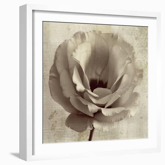 Sepia Flower on Sepia 02-Tom Quartermaine-Framed Giclee Print