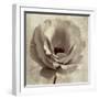 Sepia Flower on Sepia 02-Tom Quartermaine-Framed Giclee Print