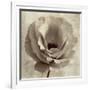 Sepia Flower on Sepia 02-Tom Quartermaine-Framed Giclee Print