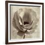 Sepia Flower on Sepia 02-Tom Quartermaine-Framed Giclee Print