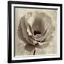 Sepia Flower on Sepia 02-Tom Quartermaine-Framed Giclee Print