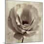 Sepia Flower on Sepia 02-Tom Quartermaine-Mounted Giclee Print