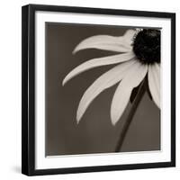 Sepia Flower on Sepia-Tom Quartermaine-Framed Giclee Print