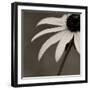 Sepia Flower on Sepia-Tom Quartermaine-Framed Giclee Print