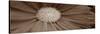 Sepia Flower Panoramic 02-Tom Quartermaine-Stretched Canvas