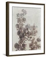 Sepia Flower Study I-null-Framed Art Print