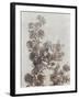 Sepia Flower Study I-null-Framed Art Print