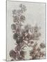 Sepia Flower Study I-null-Mounted Art Print