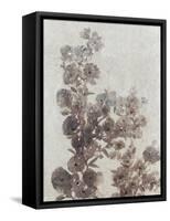 Sepia Flower Study I-null-Framed Stretched Canvas
