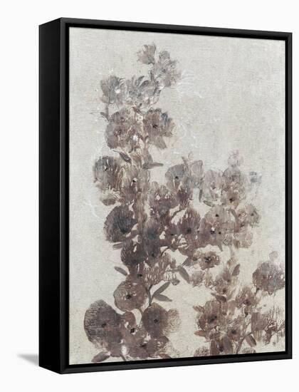 Sepia Flower Study I-null-Framed Stretched Canvas