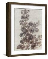 Sepia Flower Study II-null-Framed Art Print