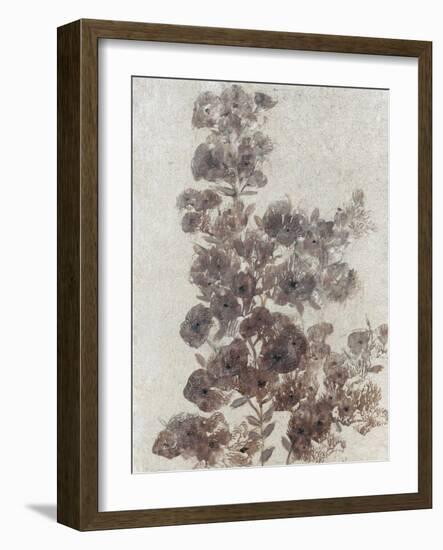 Sepia Flower Study II-null-Framed Art Print