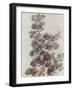 Sepia Flower Study II-null-Framed Art Print