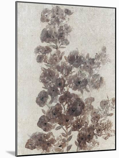 Sepia Flower Study II-null-Mounted Art Print