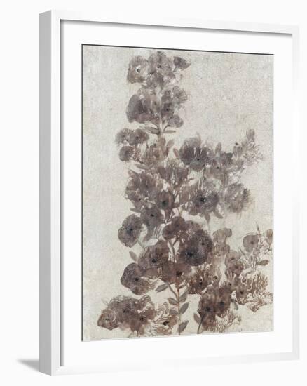 Sepia Flower Study II-null-Framed Art Print