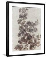 Sepia Flower Study II-null-Framed Art Print