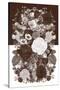 Sepia Flowerbed-null-Stretched Canvas