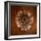 Sepia Gerbera Daisy-Robert Cattan-Framed Photographic Print