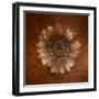 Sepia Gerbera Daisy-Robert Cattan-Framed Photographic Print