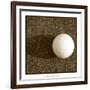 Sepia Golf Ball Study IV-Jason Johnson-Framed Art Print