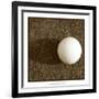 Sepia Golf Ball Study IV-Jason Johnson-Framed Art Print