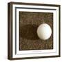 Sepia Golf Ball Study IV-Jason Johnson-Framed Art Print