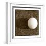 Sepia Golf Ball Study IV-Jason Johnson-Framed Art Print