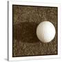 Sepia Golf Ball Study IV-Jason Johnson-Stretched Canvas