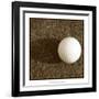 Sepia Golf Ball Study IV-Jason Johnson-Framed Art Print